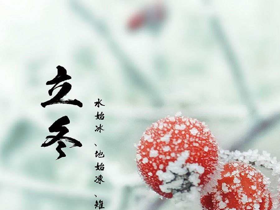 今日立冬，啟睿喊你吃餃子嘍